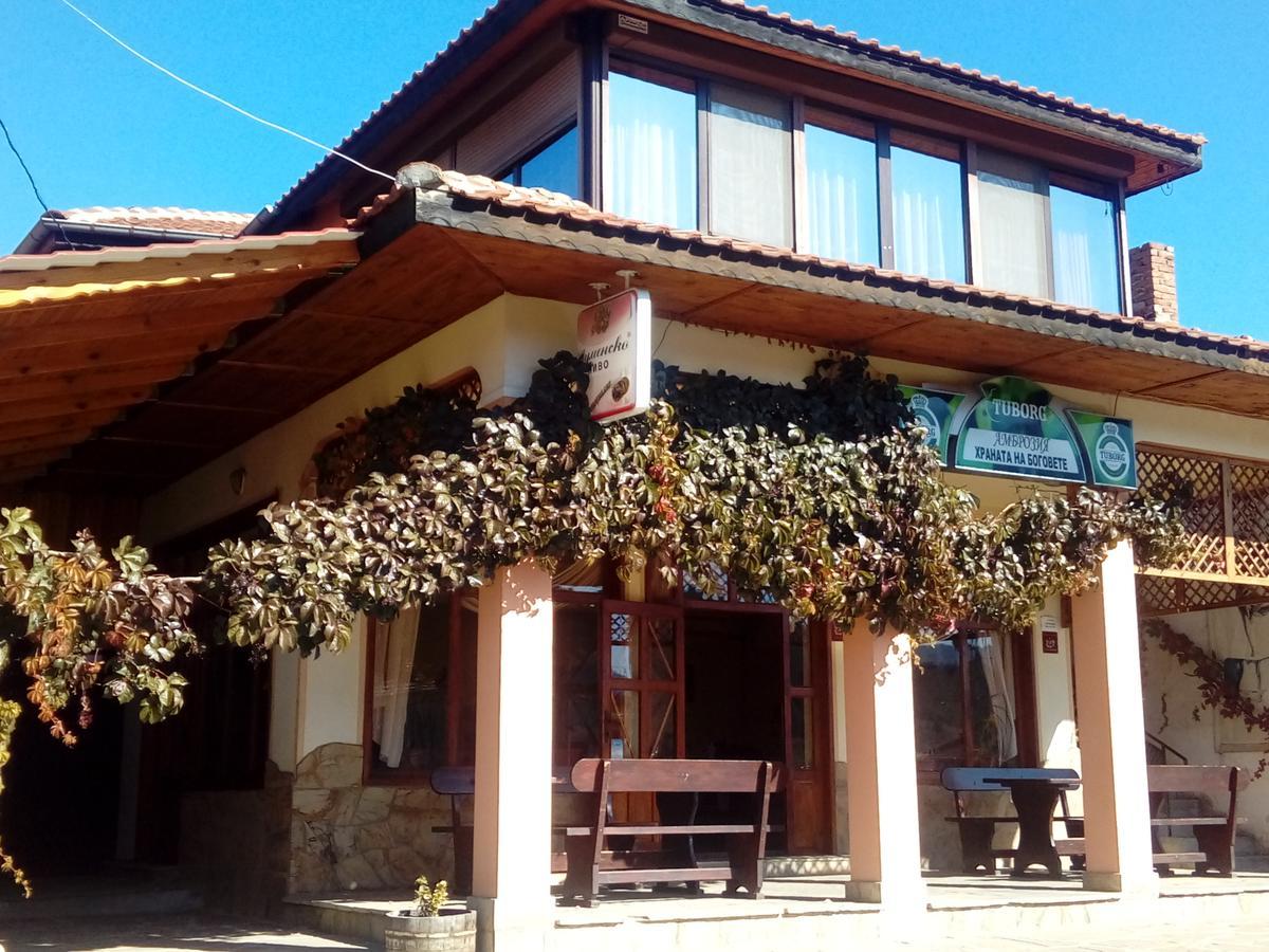Guest House Ambrozia كوتيل المظهر الخارجي الصورة